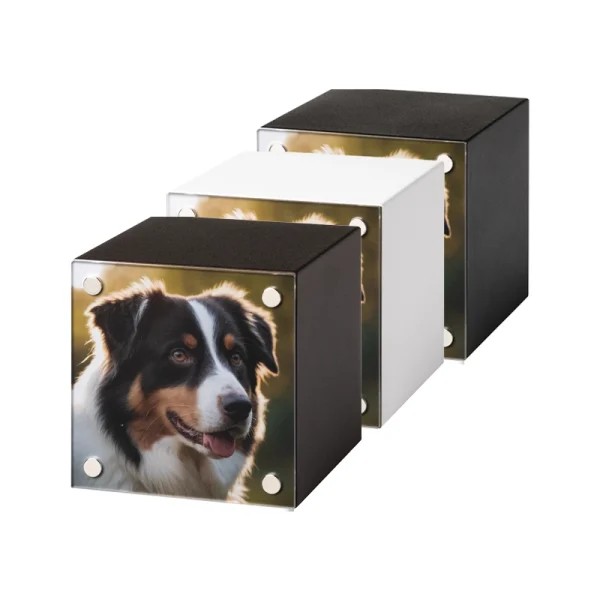 Pet Cube Poză — Metal