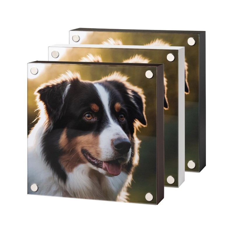 Pet Quadro — Ramă foto