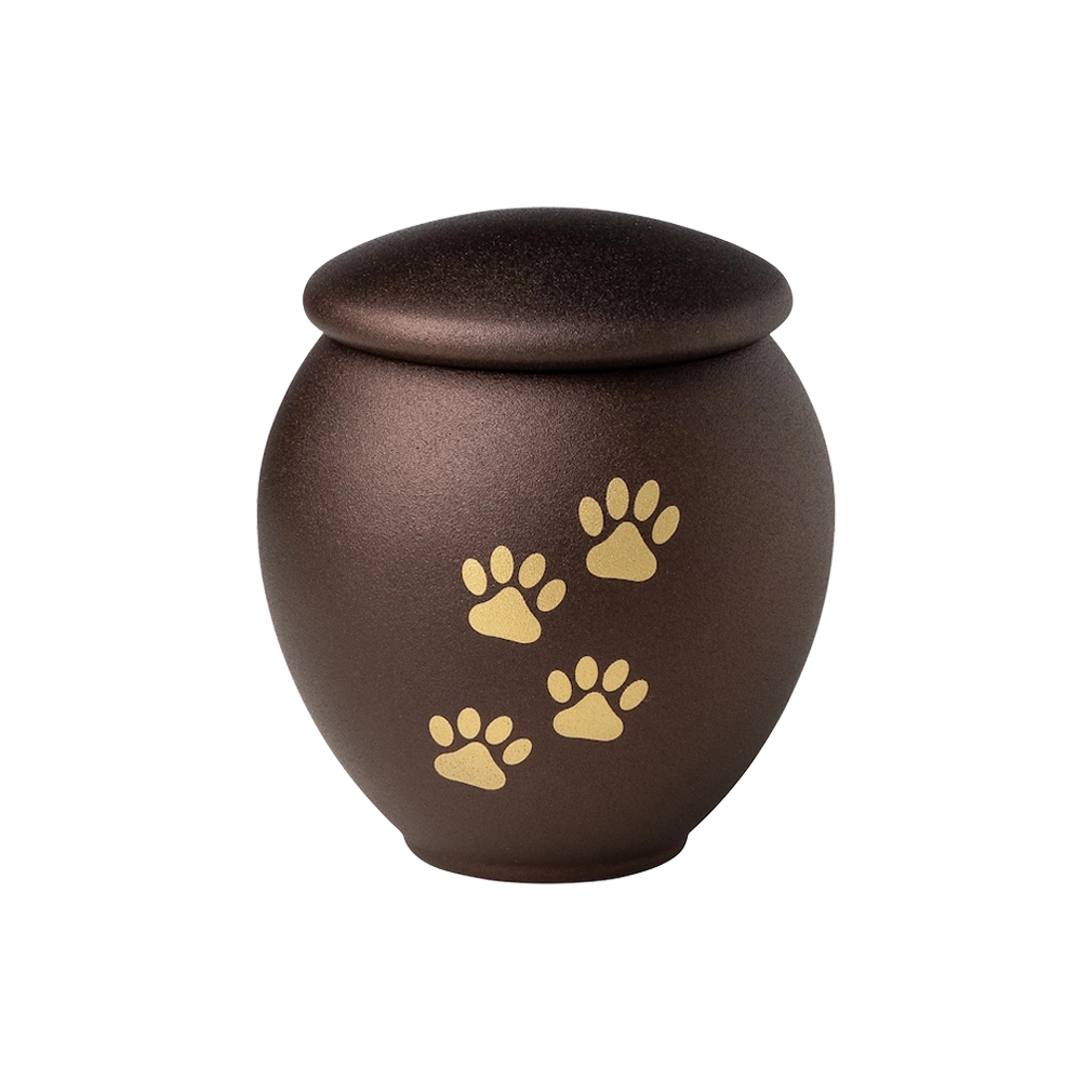 Paw Scan Photo — Black